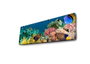 Wallity Lienzo Decorativo Iluminado con LEDs 30x90 cm Multicolor